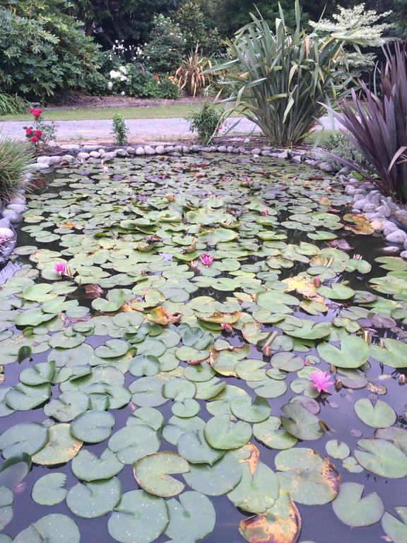 Water Lily Garden Bed and Breakfast Christchurch Exteriör bild