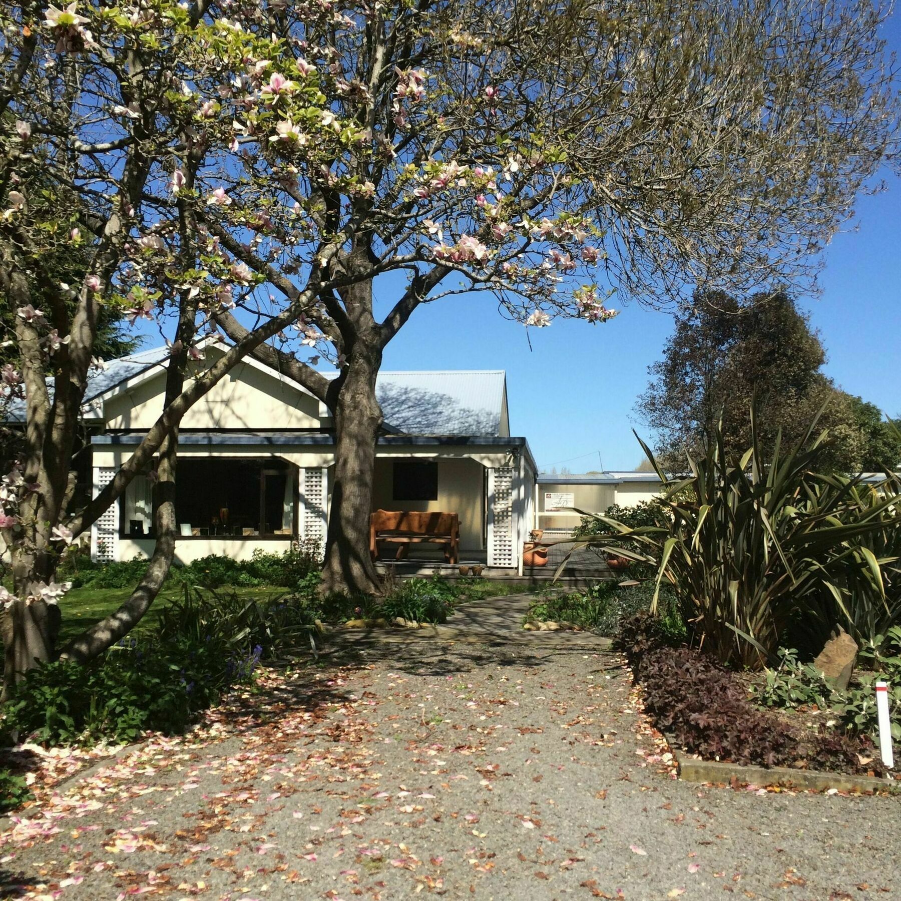 Water Lily Garden Bed and Breakfast Christchurch Exteriör bild